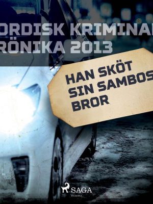 Han sköt sin sambos bror