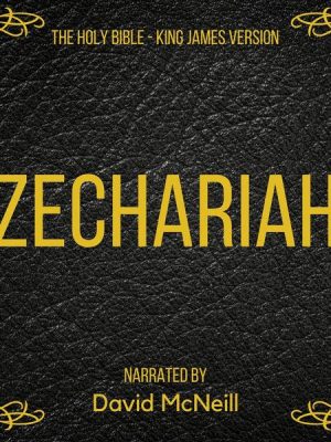 The Holy Bible - Zechariah