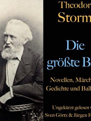 Theodor Storm: Die größte Box