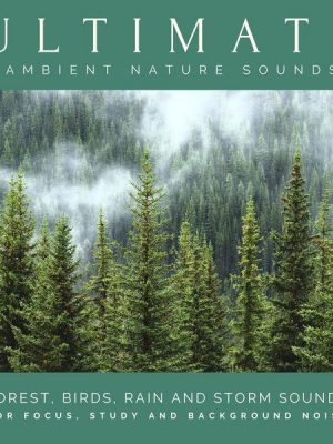 Ultimate Ambient Nature Sounds (XXL Bundle)