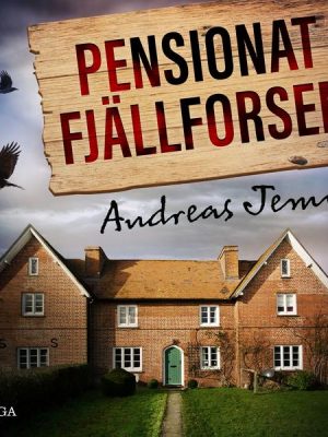 Pensionat Fjällforsen