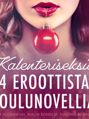 Kalenteriseksiä - 4 eroottista joulunovellia