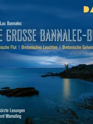 Die große Bannalec-Box (Bretonische Flut