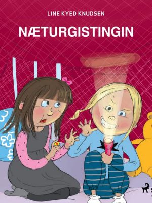 Næturgistingin