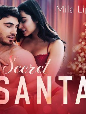 Secret Santa – opowiadanie erotyczne