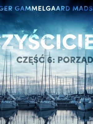 Czyściciel 6: Porządki