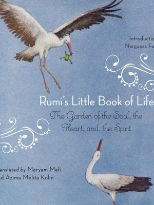 Rumi's Little Book of Life