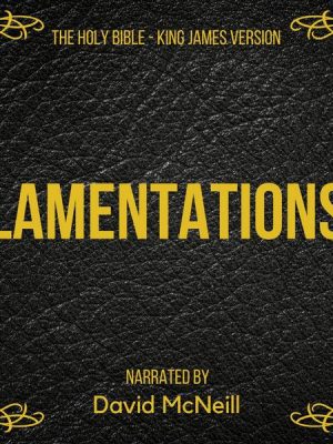 The Holy Bible - Lamentations