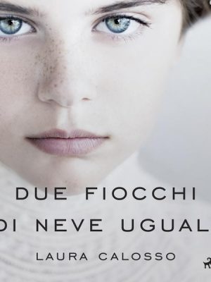 Due fiocchi di neve uguali