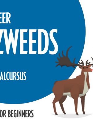 Leer Zweeds (taalcursus voor beginners)