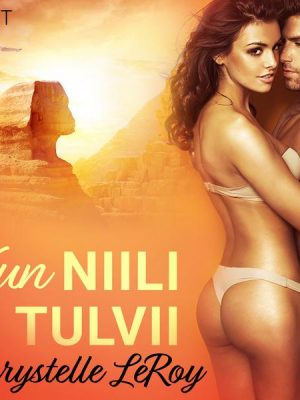 Kun Niili tulvii - eroottinen novelli