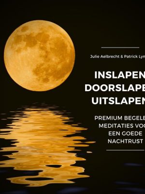 Inslapen