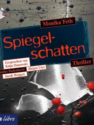 Spiegelschatten / Romy-Thriller Bd.2