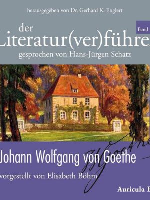 Der Literatur(ver)führer - Band 2: Johann Wolfgang von Goethe