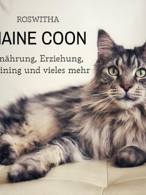 Maine Coon