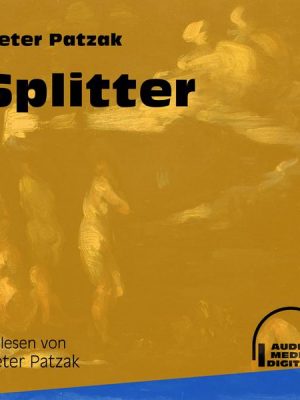 Splitter