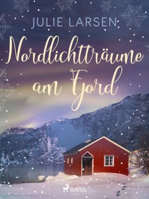 Nordlichtträume am Fjord