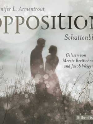 Opposition. Schattenblitz  / Obsidian Bd.5