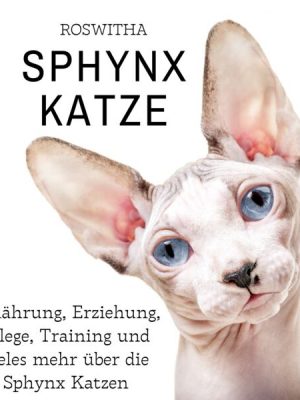 Sphynx Katze