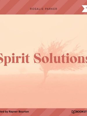 Spirit Solutions