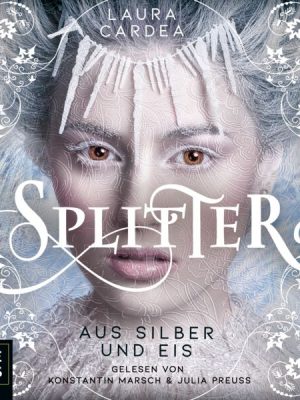 Splitter aus Silber und Eis