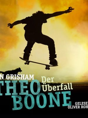 Theo Boone: Der Überfall